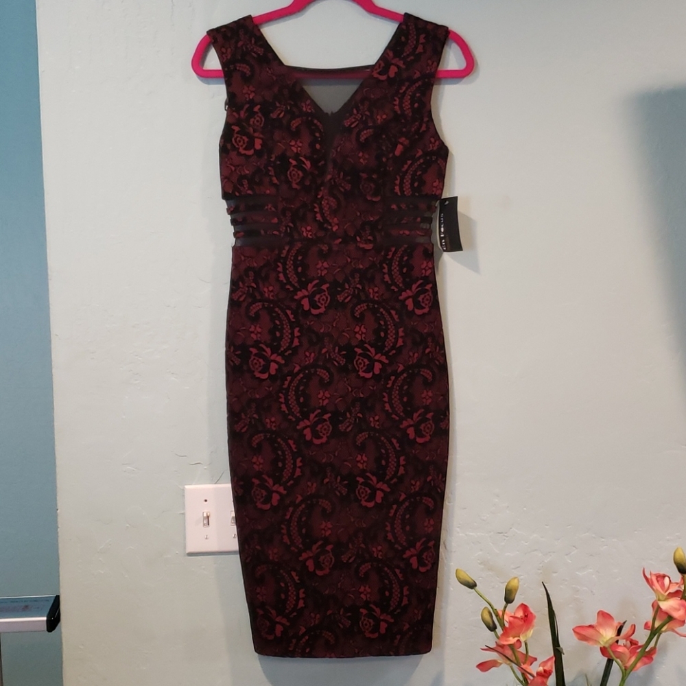 Elegant velvet rose dress